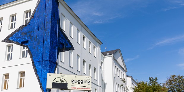 Destination-Wedding - Umgebung: in Weingärten - Donauraum - Museum Gugging