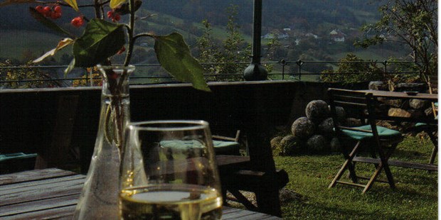 Destination-Wedding - Hunde erlaubt - Region Wachau - Terrasse - Hotel Burg Oberranna