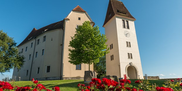 Destination-Wedding - Umgebung: am Land - Süd & West Steiermark - Hotel SCHLOSS SEGGAU - Schlosshof - Hotel SCHLOSS SEGGAU