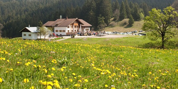 Destination-Wedding - Preisniveau Hochzeitsfeier: €€ - Vorarlberg - Millrütte Frühling  - Millrütte Resort GmbH
