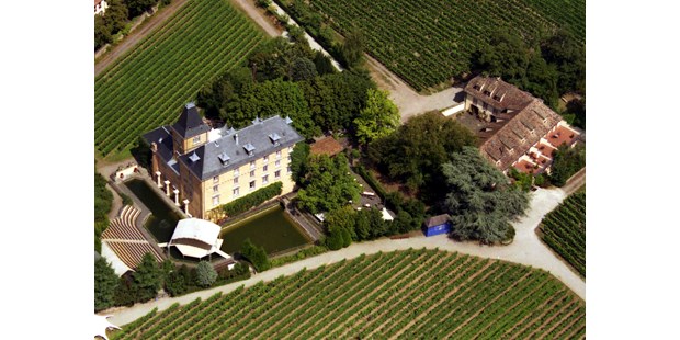 Destination-Wedding - Garten - Pfalz - Luftaufnahme - Hotel Schloss Edesheim