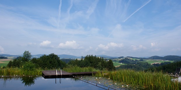 Destination-Wedding - Freizeitangebot in der Region: Schwimmen - Altenfelden - Kleebauer Biohof & Hotel