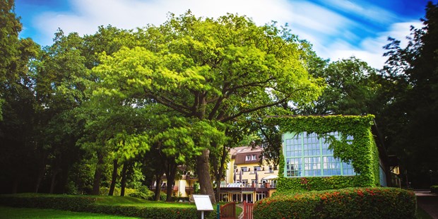 Destination-Wedding - Perfekte Jahreszeit: Frühlings-Hochzeit - Mecklenburg-Vorpommern - Kurhausgarten mit historischem Pavillon - Kurhaus am Inselsee