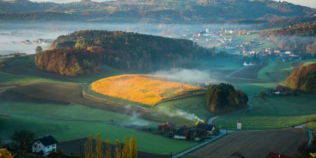 Destination-Wedding - Umgebung: in Weingärten - Steiermark - Herbst am Flamberg - Weingartenhotel Harkamp