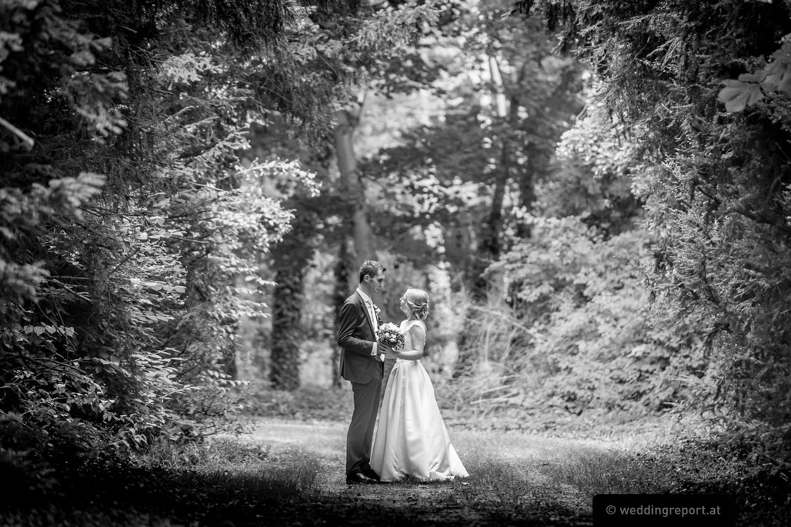 Hochzeitslocation: Fotoshooting im nahegelegenen Wald.
Foto © weddingreport.at - Schloss Halbturn