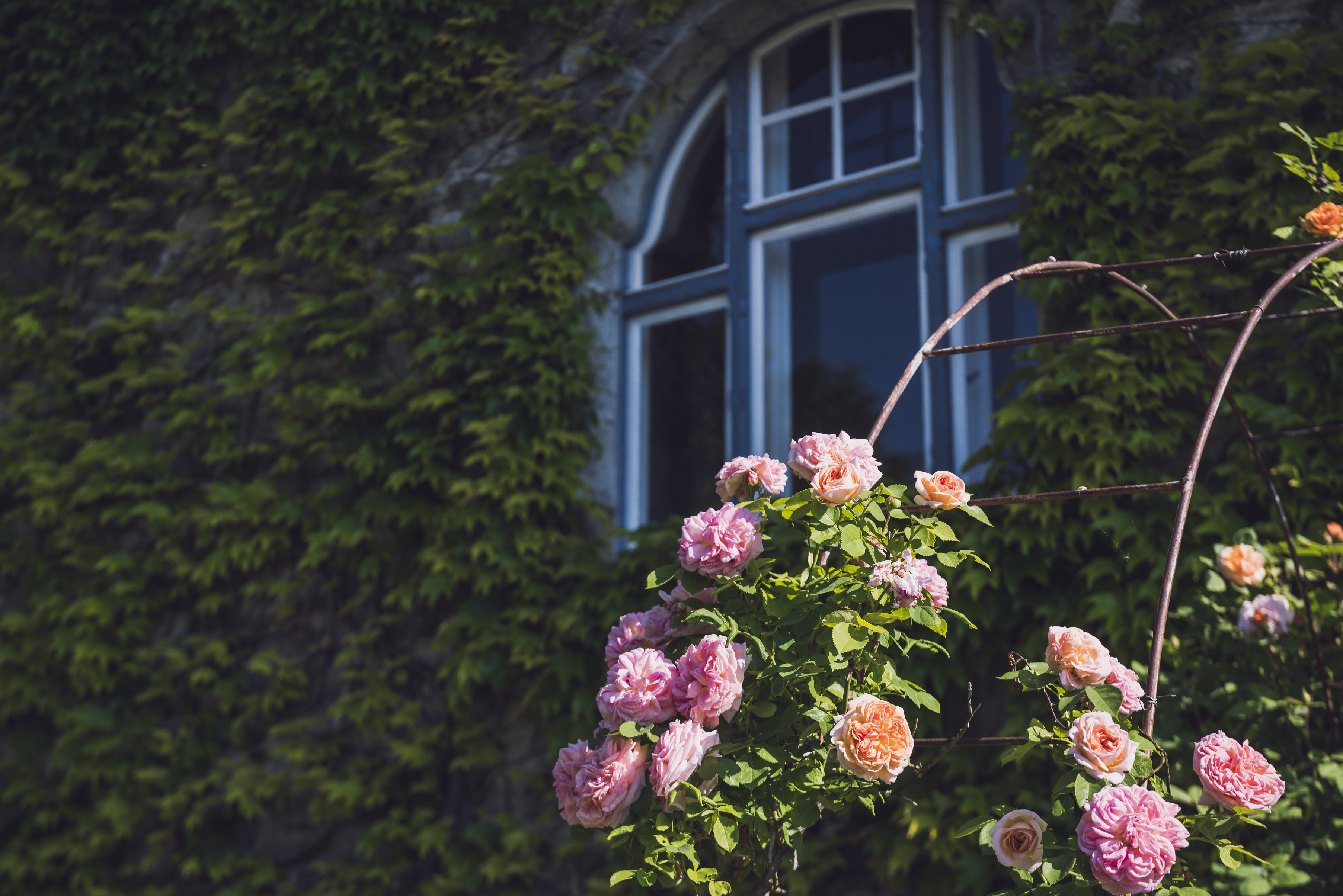 Hochzeitslocation: Villa Breitenberg