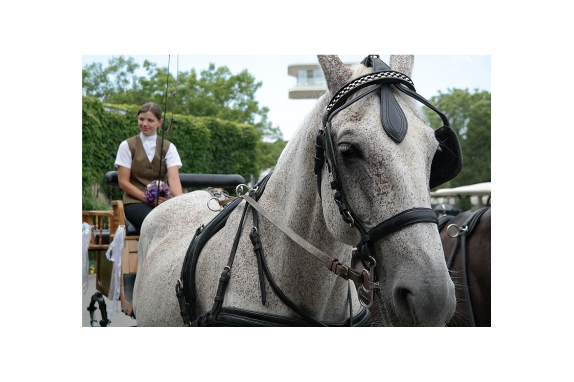 Hochzeitslocation: Hochzeitskutsche (hauseigene Pferdestall) - VILA VITA Pannonia