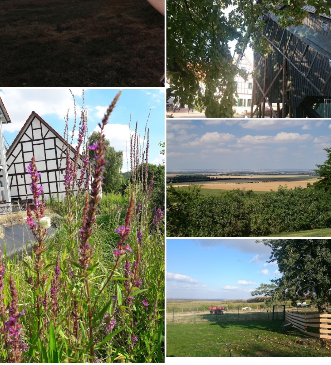 Hochzeitslocation: Fahner Mühle La Bodega