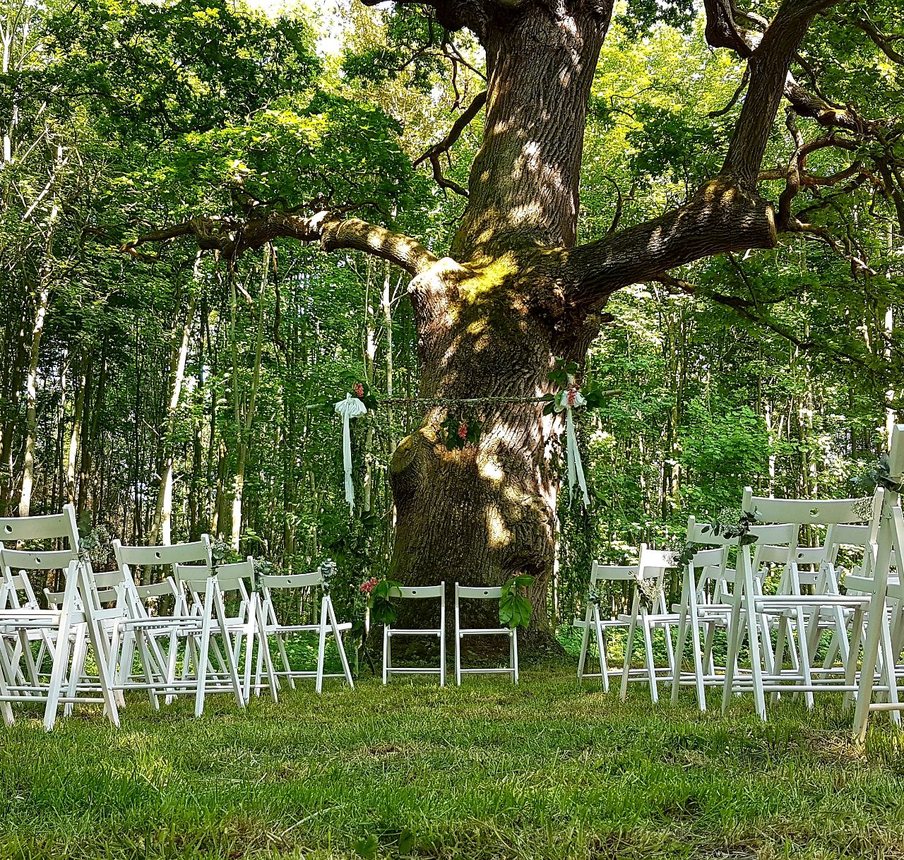 Hochzeitslocation: Trauung unter der Eiche - Wasserburg Turow