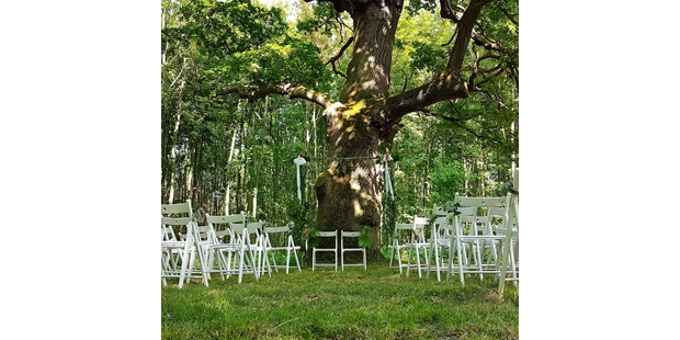 Destination-Wedding - Art der Location: Hotel / Chalet - Trauung unter der Eiche - Wasserburg Turow
