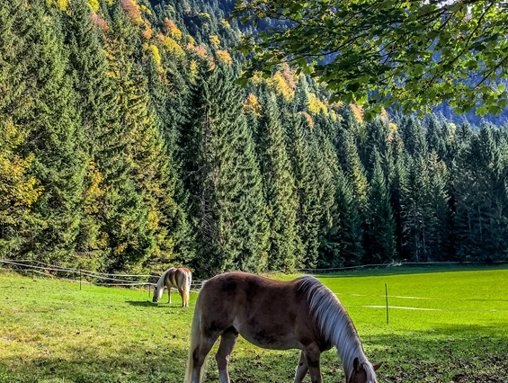 Hochzeitslocation: Bäckeralm