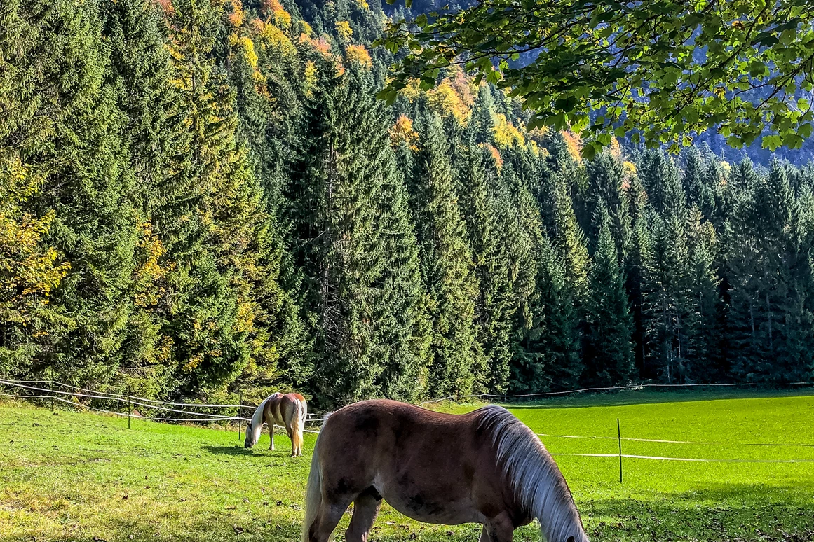Hochzeitslocation: Bäckeralm