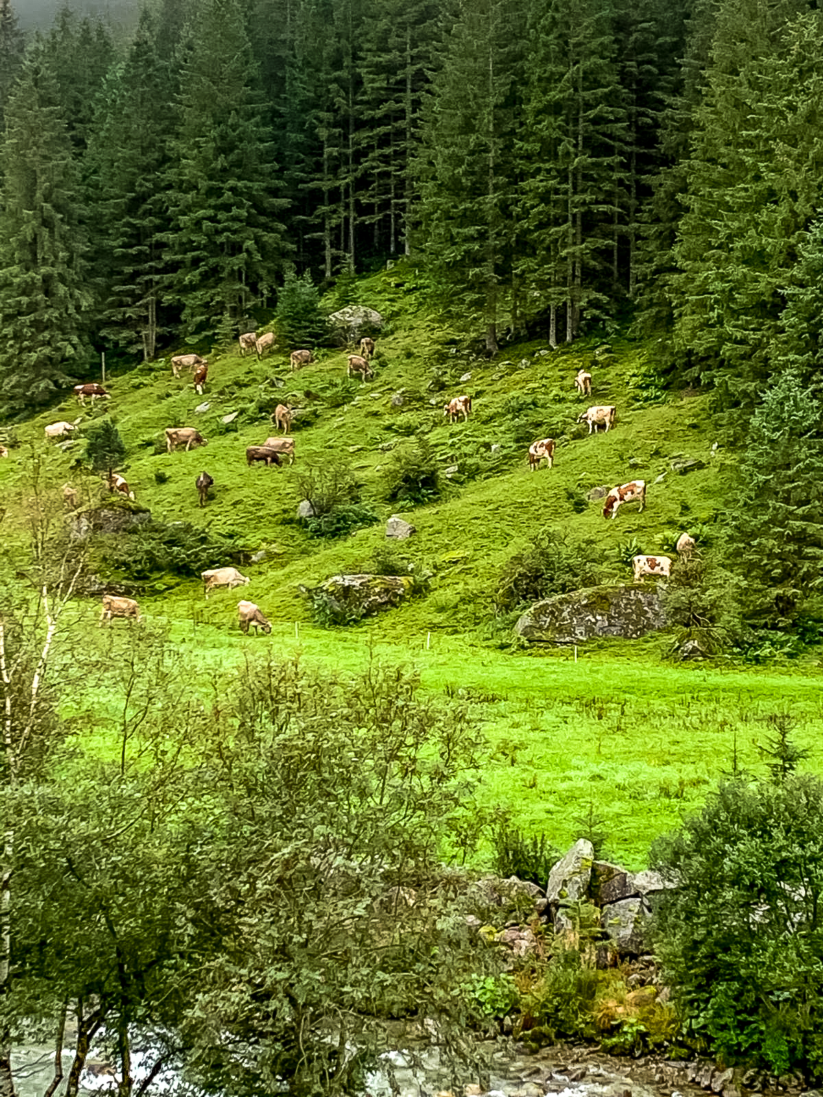 Hochzeitslocation: Bäckeralm 