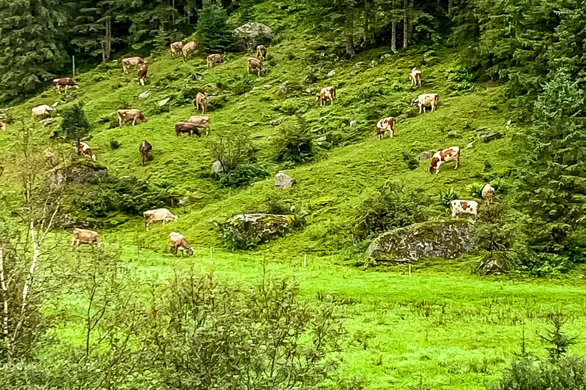 Hochzeitslocation: Bäckeralm