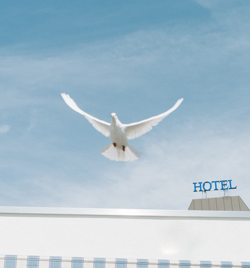 Destination-Wedding - Umgebung: am Land - Das Paladin - Best Western Queens Hotel