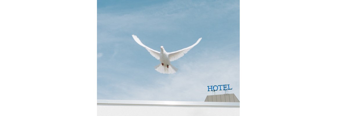 Hochzeitslocation: Das Paladin - Best Western Queens Hotel