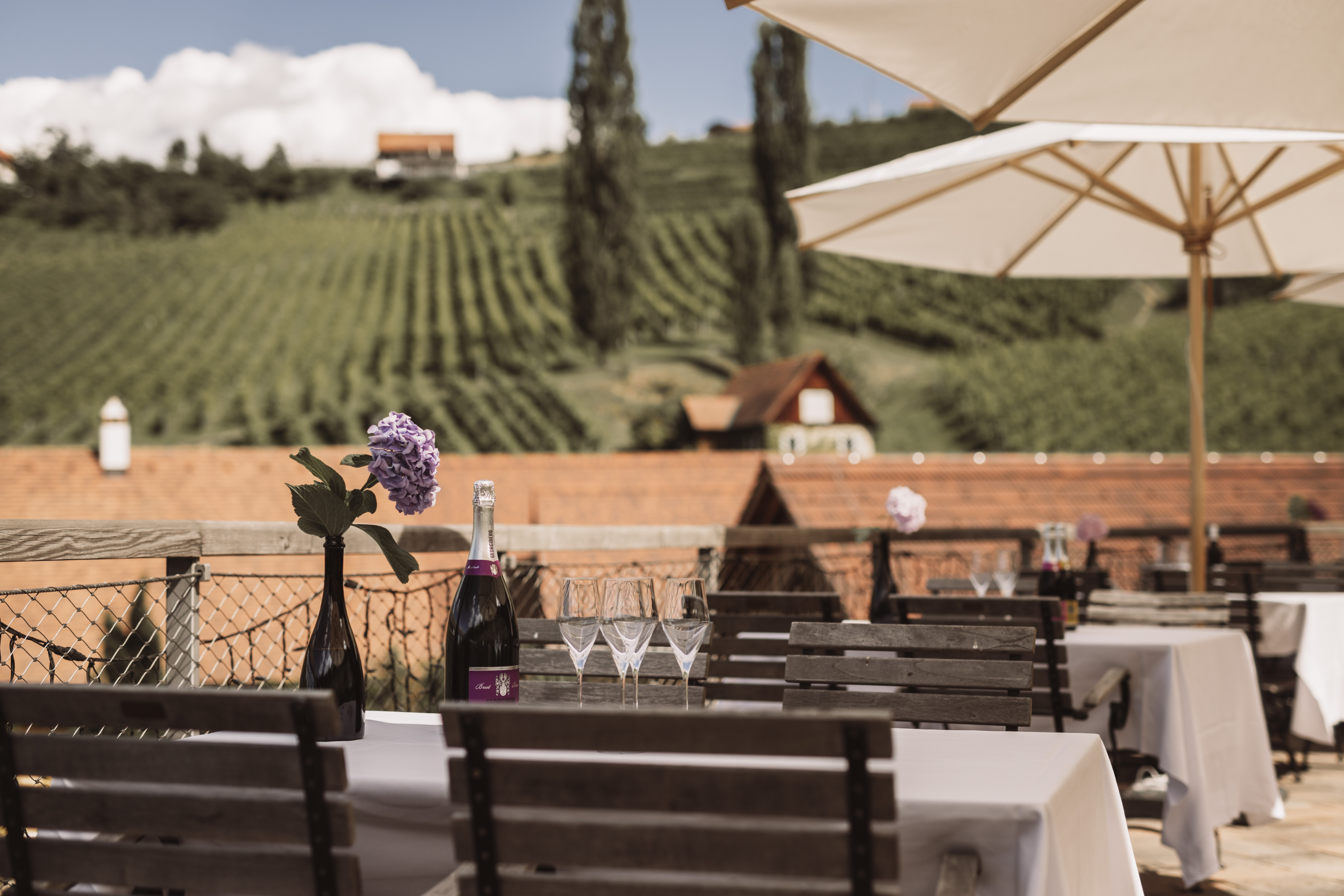 Destination-Wedding - PLZ 8461 (Österreich) - Weingut Georgiberg