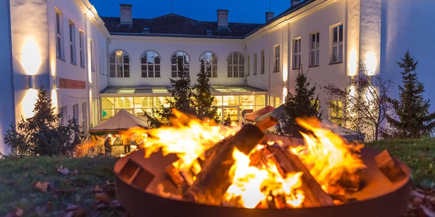 Destination-Wedding - woliday Programm: Standesamtliche Trauung - Österreich - Museum Gugging