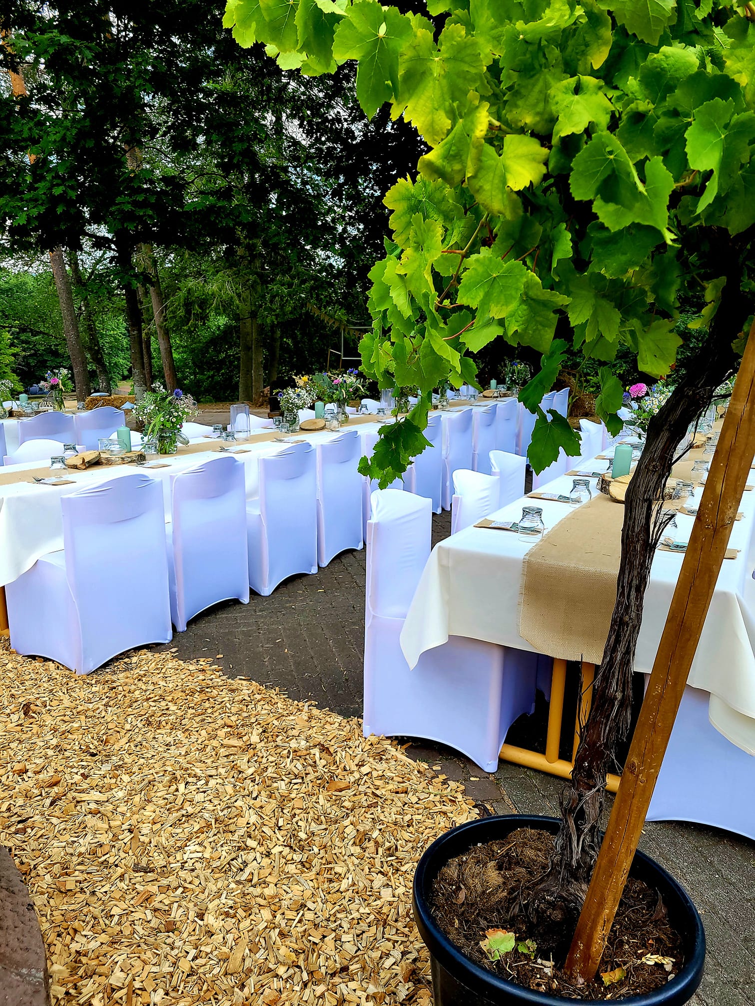 Hochzeitslocation: Die Heilsbach