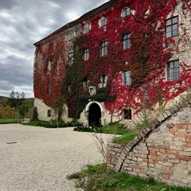 Flitterwochen: Schloss Haggenberg