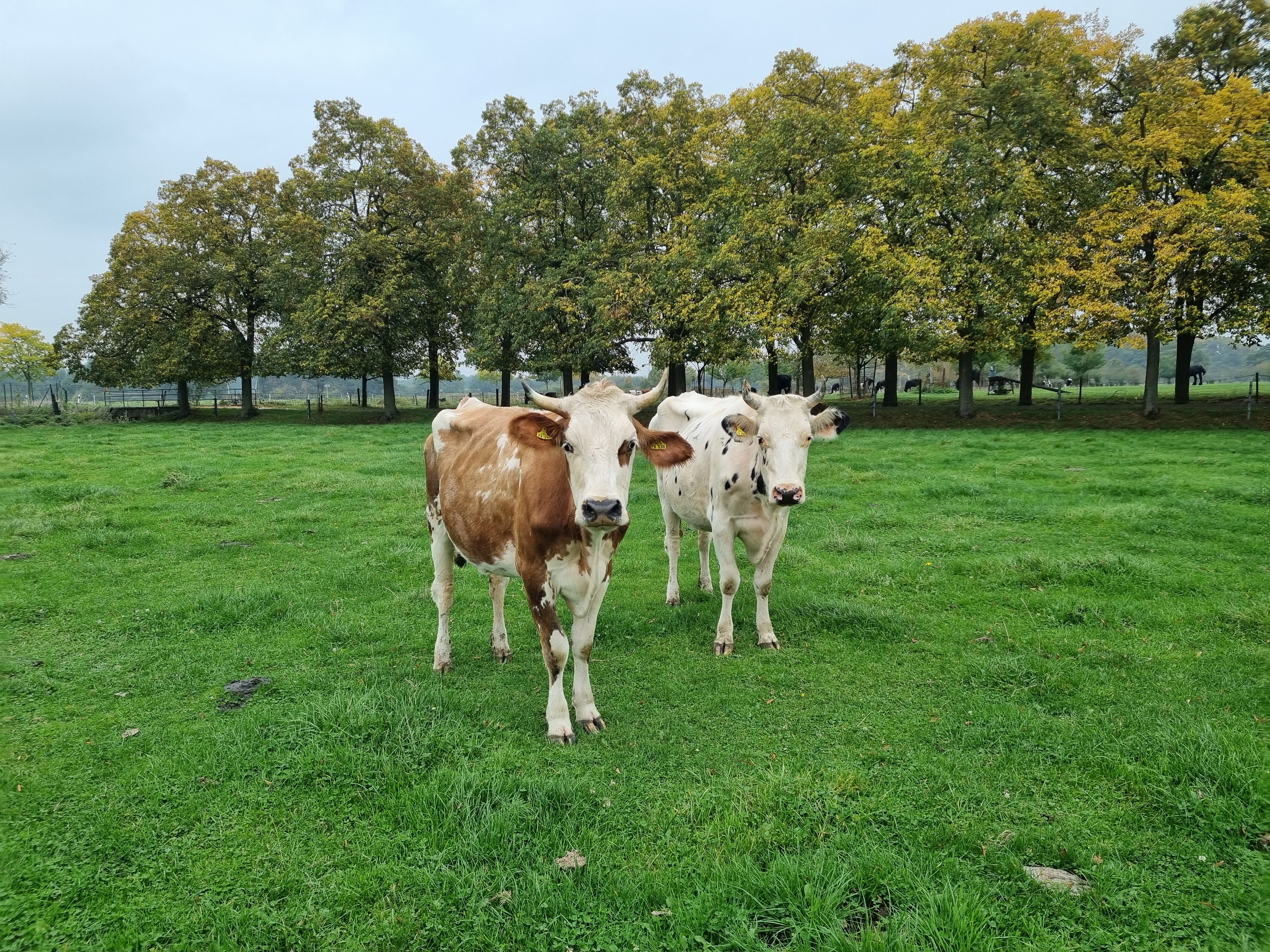 Hochzeitslocation: Eventbauernhöfe Rouenhof und Michelshof