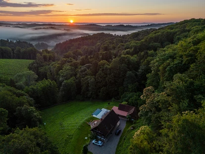 Destination-Wedding - Art der Location: Hotel / Chalet - Vinothek Petzles