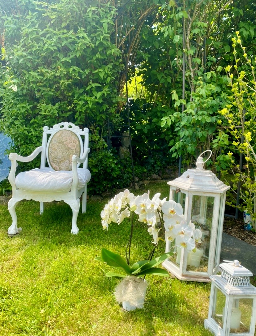 Zwischen Efeu und Rosen woliday Programmvorschlag Fotoshooting mit Vintage Flair