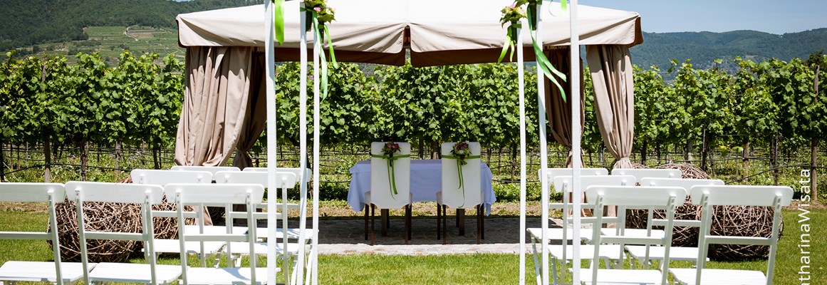 Hochzeitslocation: Eine Standesamtliche Trauung im Weingarten des Weingut Holzapfel Prandtauerhof in Niederösterreich. - Weingut Holzapfel Prandtauerhof