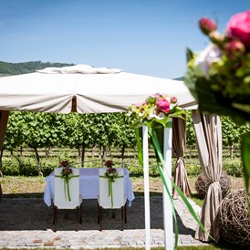 Hochzeitslocation: Eine Standesamtliche Trauung im Weingarten des Weingut Holzapfel Prandtauerhof in Niederösterreich. - Weingut Holzapfel Prandtauerhof