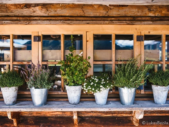 Hochzeitslocation: Feiern Sie Ihre Hochzeit auf der Wieseralm. - Wieseralm