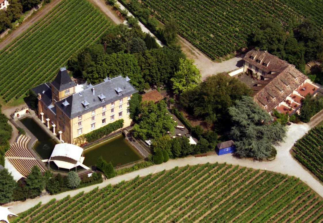 Hochzeitslocation: Luftaufnahme - Hotel Schloss Edesheim