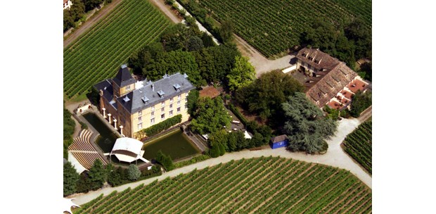 Destination-Wedding - Pfalz - Luftaufnahme - Hotel Schloss Edesheim