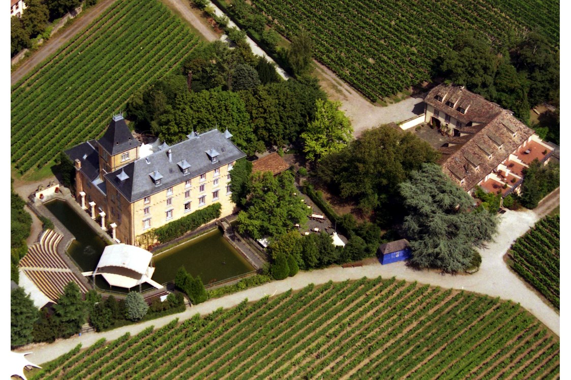 Hochzeitslocation: Luftaufnahme - Hotel Schloss Edesheim