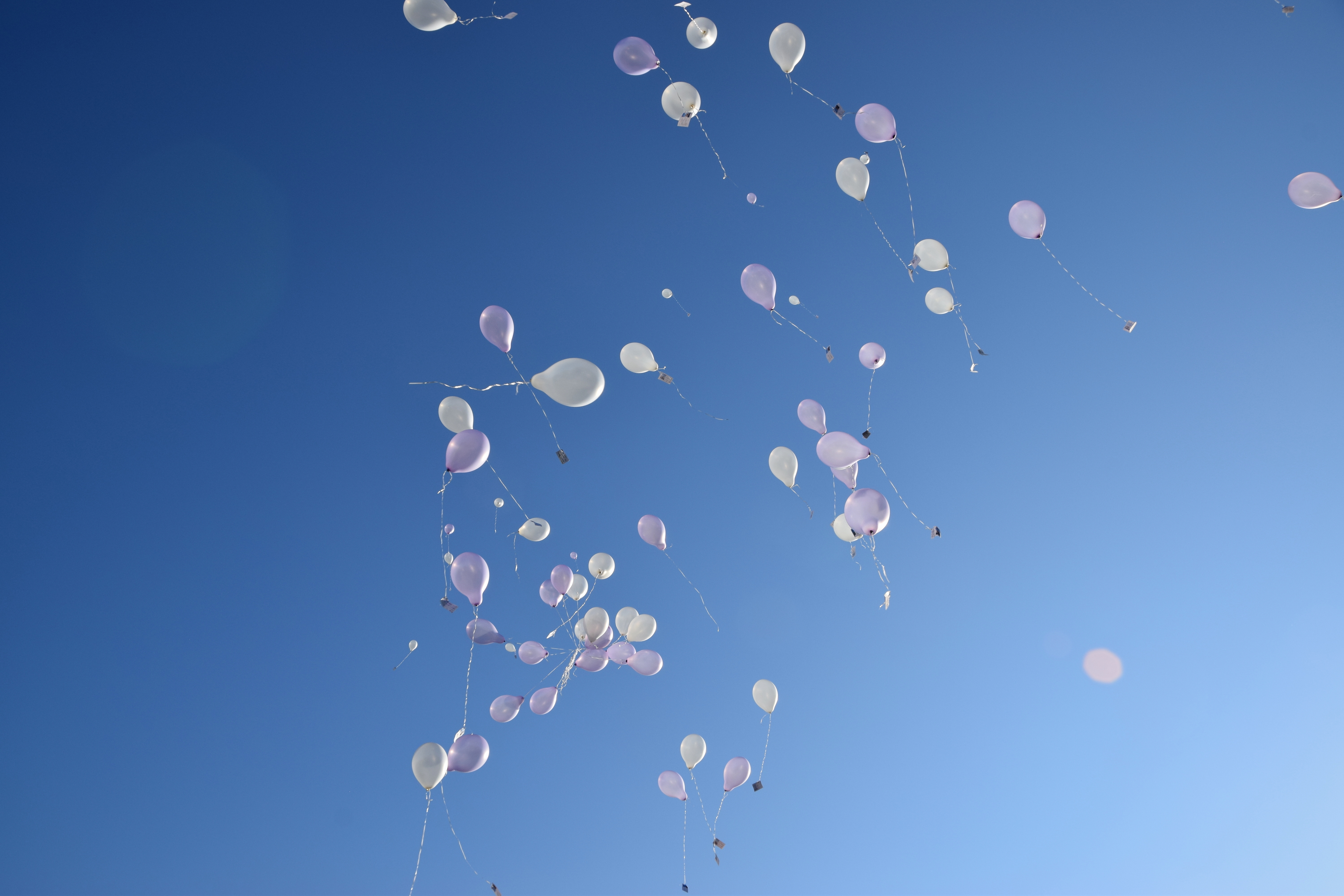 Destination-Wedding - Umgebung: am Land - Hotel Restaurant Häupl