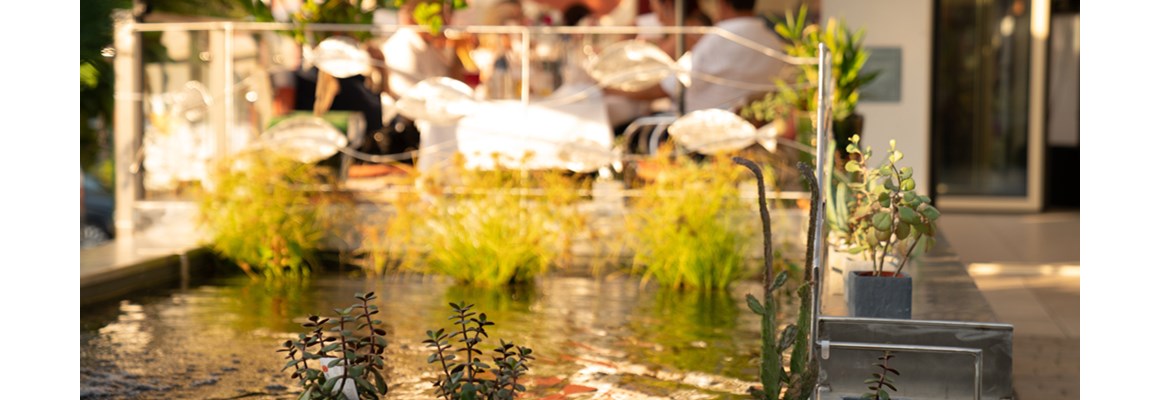 Hochzeitslocation: Wasserpiele im bunten Restaurant + Kunsthotel Malerwinlk in der schönen STeiermark - Malerwinkl Restauarnt + Kunsthotel