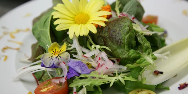 Destination-Wedding - Art der Location: Hotel / Chalet - Salatteller - Relax- & Vitalhotel Adler