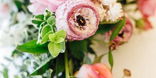 Destination-Wedding - Art der Location: Hotel / Chalet - Austria Trend Hotel Schloss Wilhelminenberg