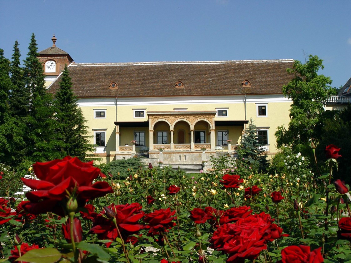 Hochzeitslocation: Blick vom Rosengarten auf die Schloss Weikersdorfer Rosenterrasse.  - Hotel Schloss Weikersdorf