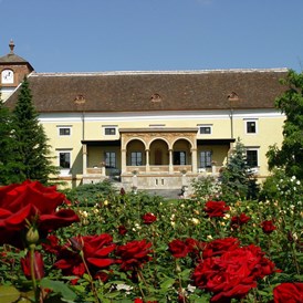 Hochzeitslocation: Blick vom Rosengarten auf die Schloss Weikersdorfer Rosenterrasse.  - Hotel Schloss Weikersdorf