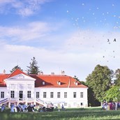 Hochzeitslocation - Hochzeit im Schloss Miller-Aichholz, Europahaus Wien - Schloss Miller-Aichholz - Europahaus Wien