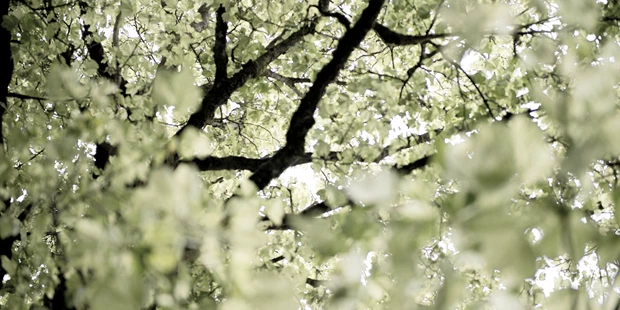 Destination-Wedding - Exklusivität - Wilder Kaiser - Der Garten ist lange gewachsen und wächst üppig, reich und schön wild. Es sind die verträumten Winkel und wild gewachsenen
Nischen. Was sich wohlfühlt, das wurzelt, rankt, blüht und gedeiht.Es sind das fabelhafte Essen, das Tafeln und ausgelassen Feiern, was
die Zeit in diesem Garten zur berückend lauen Sommernacht macht. - Der Unterwirt - Das kleine Gourmethotel