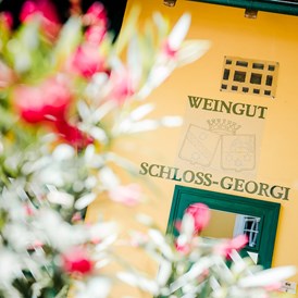 Hochzeitslocation: Weingut Schloss Georgi - Georgi Schloss und Weingut