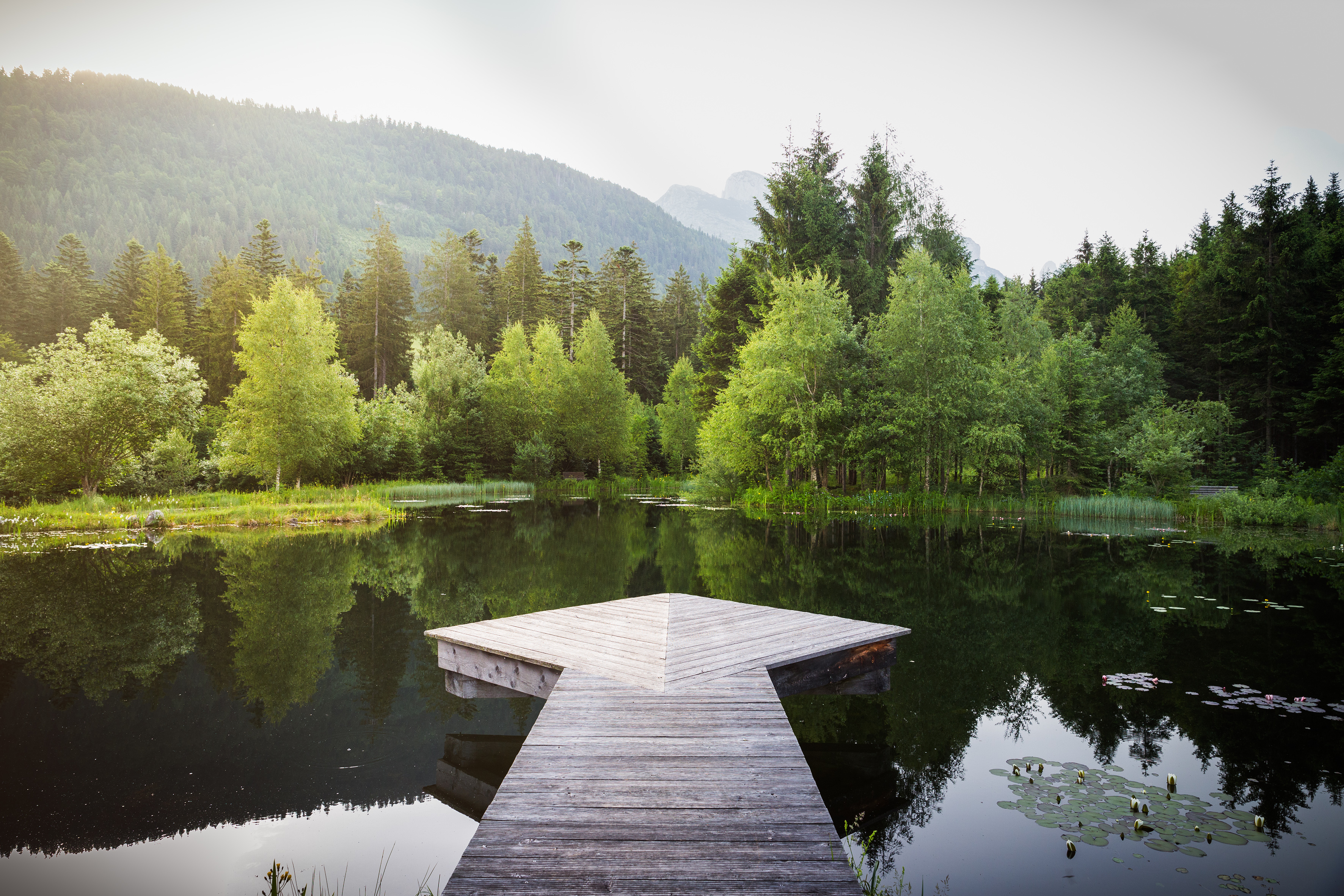 Destination-Wedding - Hunde erlaubt - Österreich - Winterstellgut
