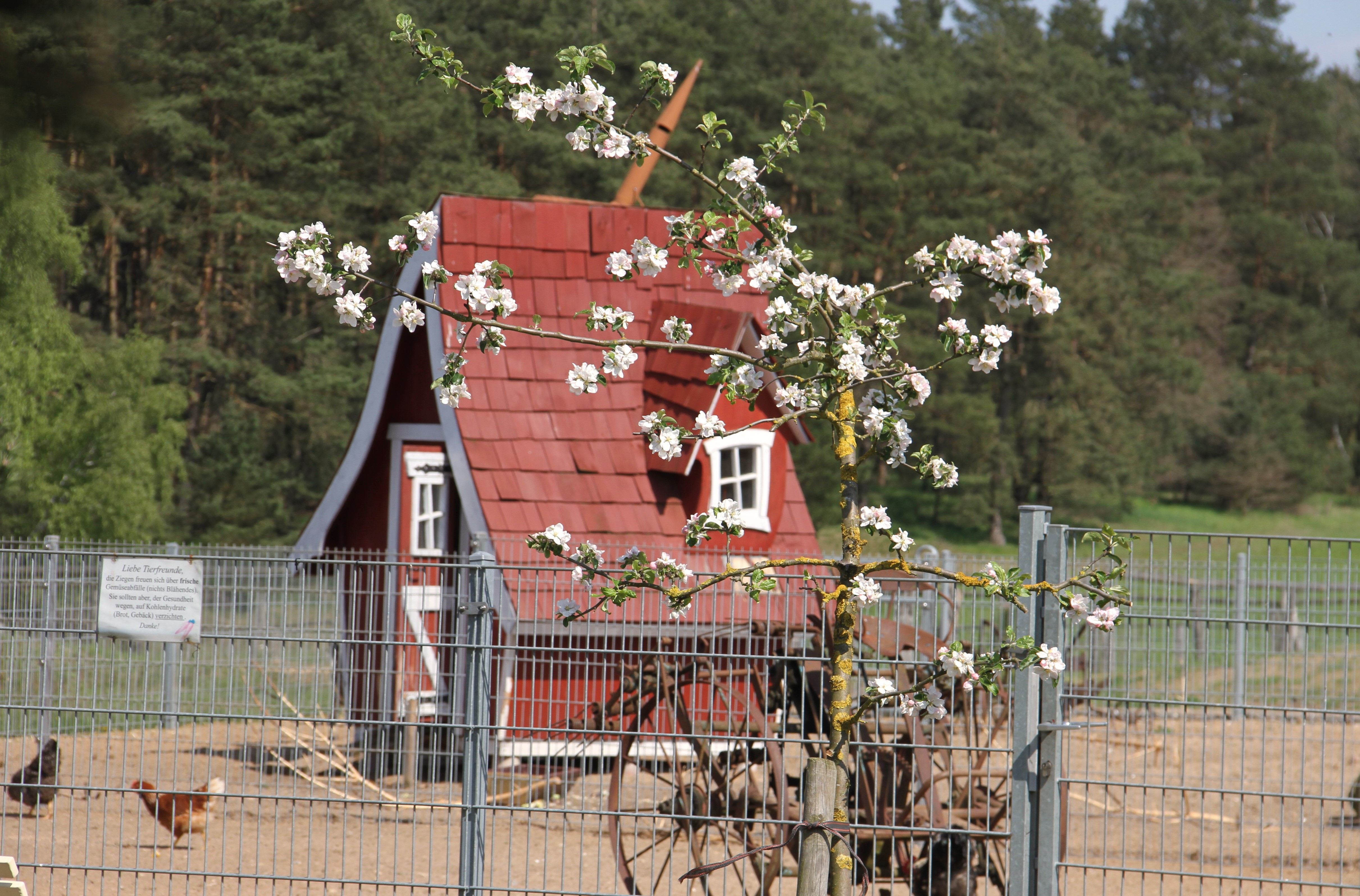 Hochzeitslocation: Haus Wildrose