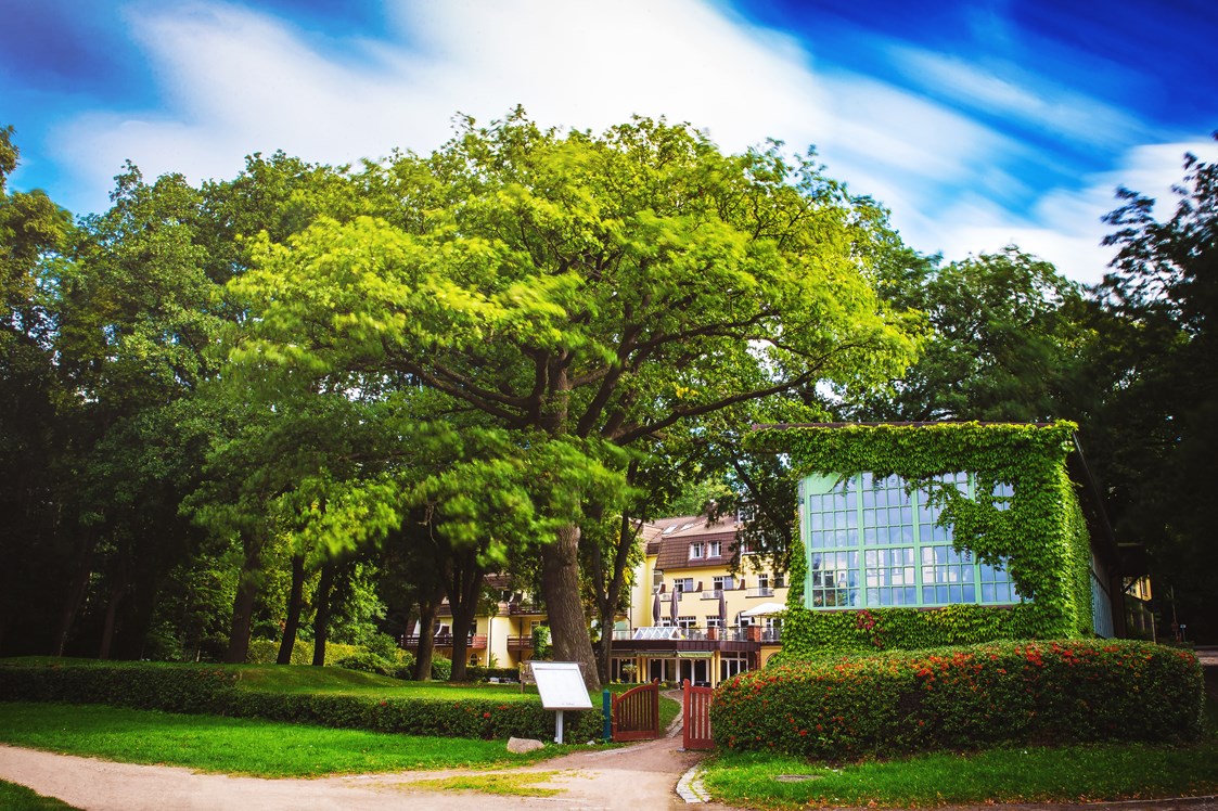 Hochzeitslocation: Kurhausgarten mit historischem Pavillon - Kurhaus am Inselsee