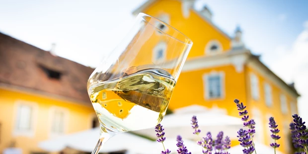 Destination-Wedding - Art der Location: Hotel / Chalet - Schloss Gamlitz